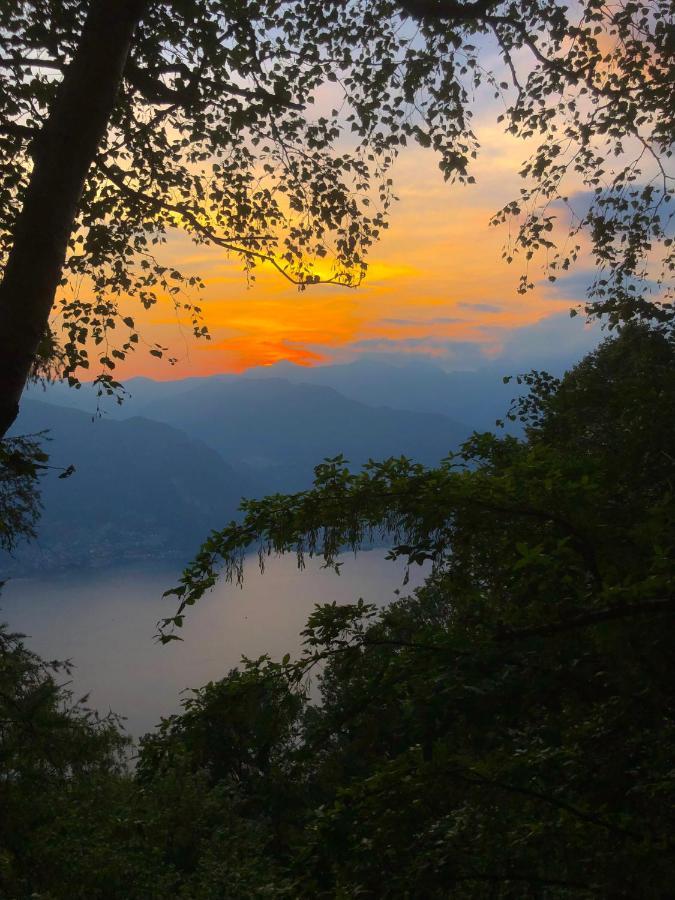Il Larice D' Oro Aparthotel Sueglio Buitenkant foto